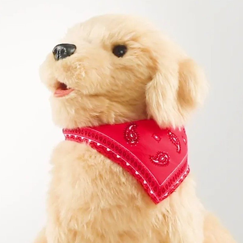 COMPANION PET PUP